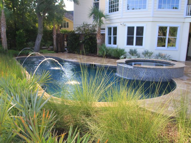 Backyard Freeform Pool with Custom Spa and Water Features