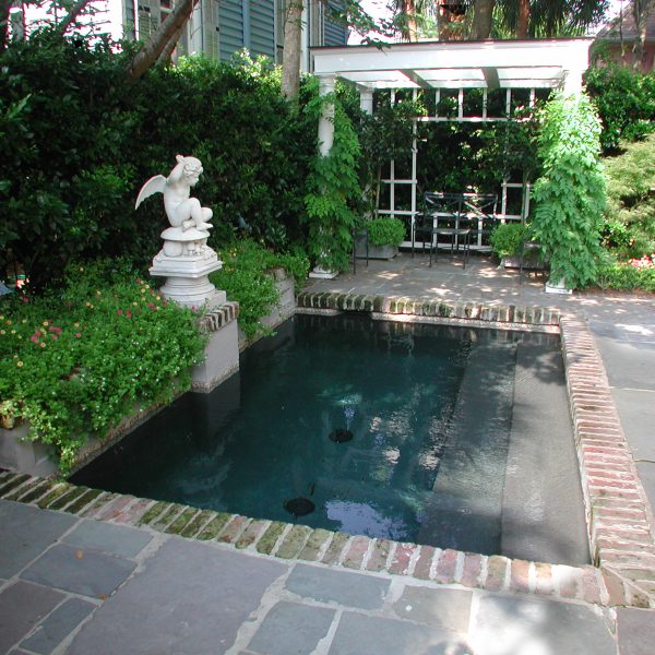 Plunge Pool with steps