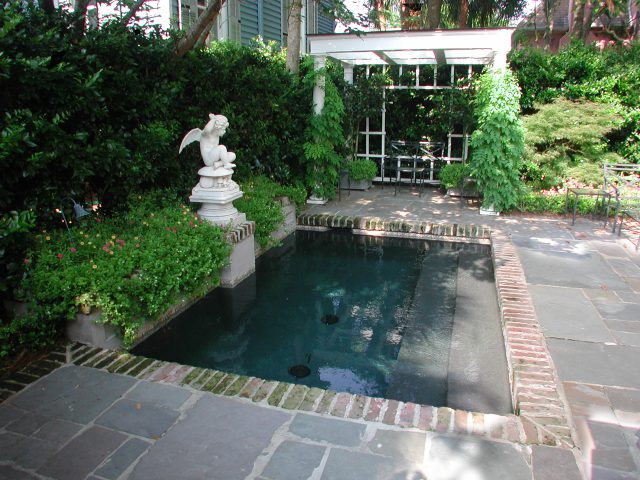 Plunge Pool with steps