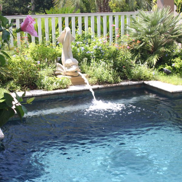 front view of pool with fish water fountain