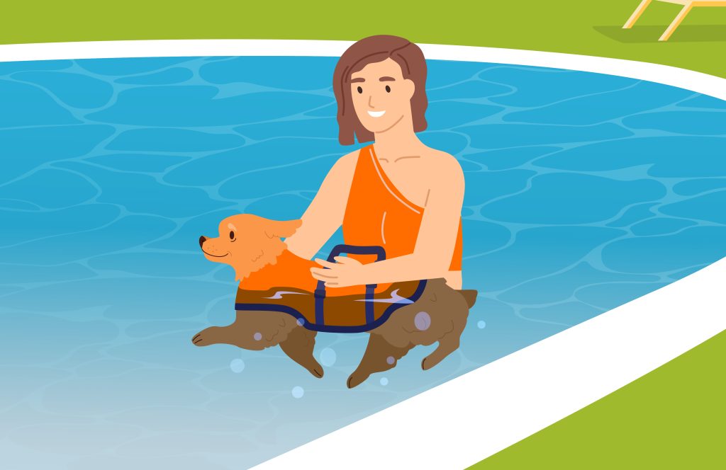 Swimming pools and dogs