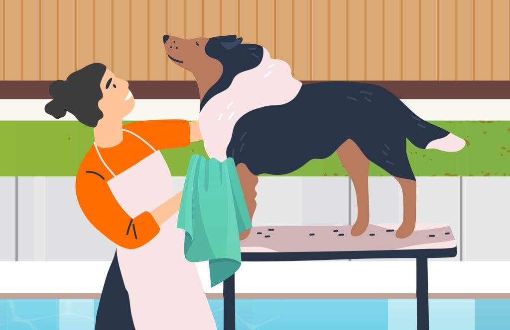 Swimming pools and dogs