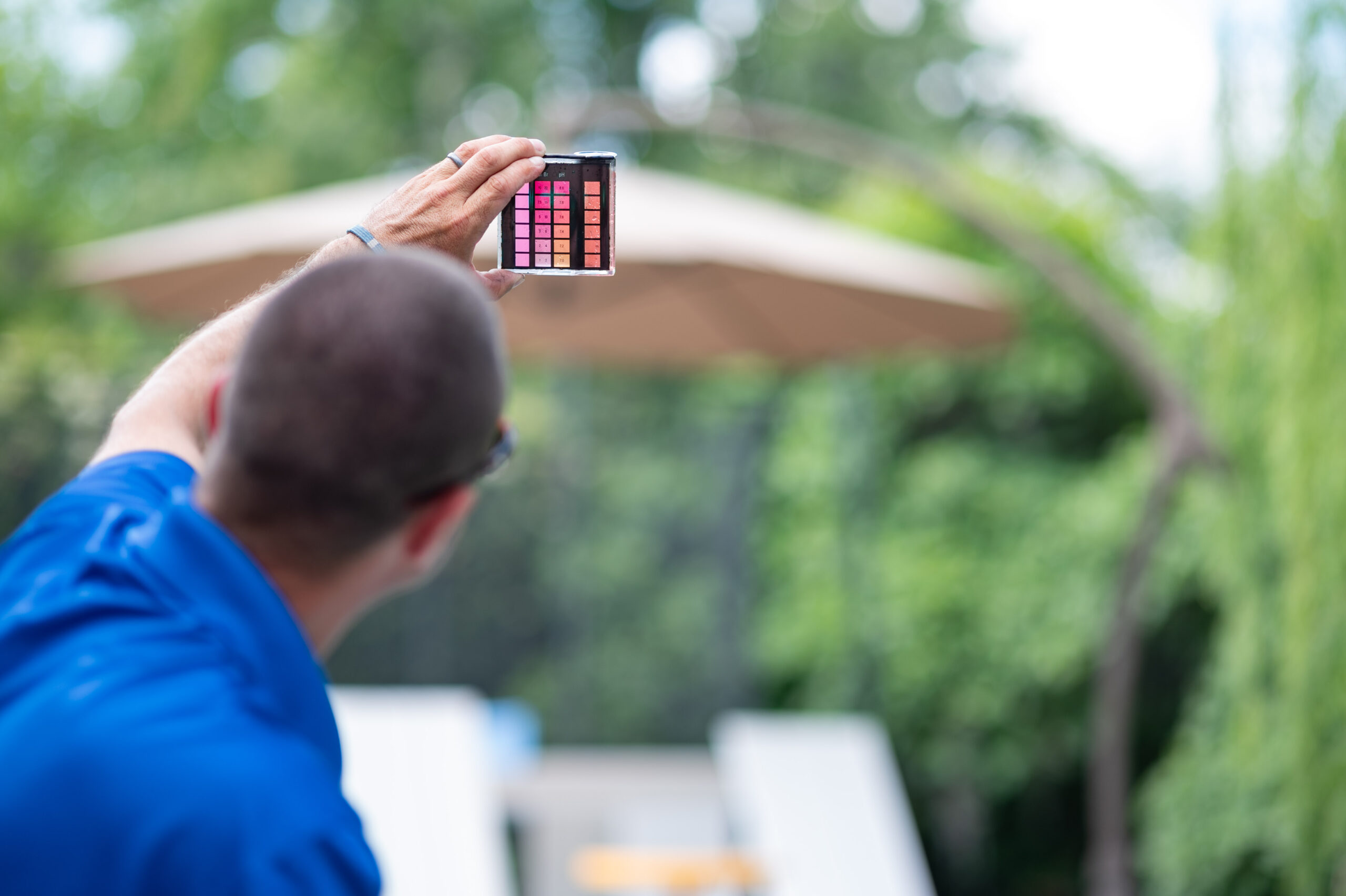 Poolside Perspectives – February 2025