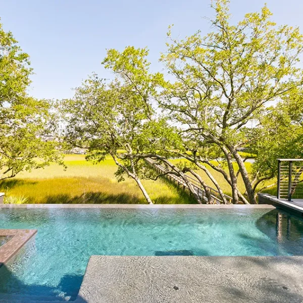 Close-up of compact luxury pool with spa and tree-lined marsh backdrop