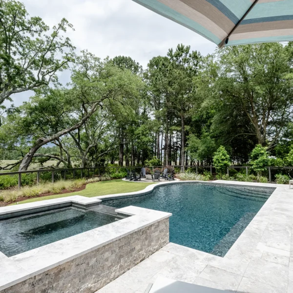 Luxury backyard with stone spa spilling into a sleek pool and a large forest backdrop.