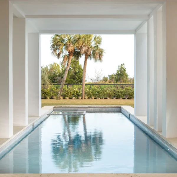 Modern narrow swimming pool extending to a view of palm trees.