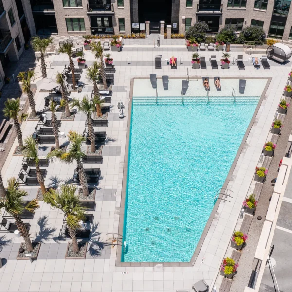 Modern rooftop pool with palm trees and lounge seating