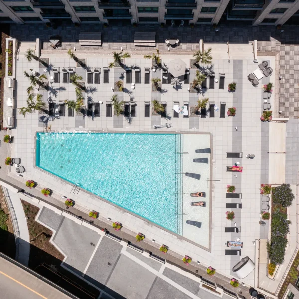 Aerial view of rooftop pool deck with palm landscaping and loungers