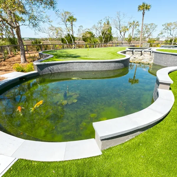 Curved koi pond filled with fish, next to a manicured artificial putting green under palm trees.