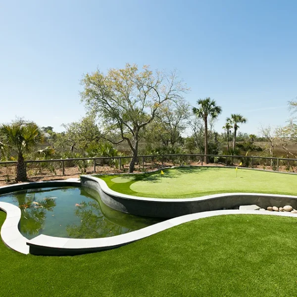 Backyard oasis with koi pond, putting green, and elevated landscaping with palm trees and natural views.